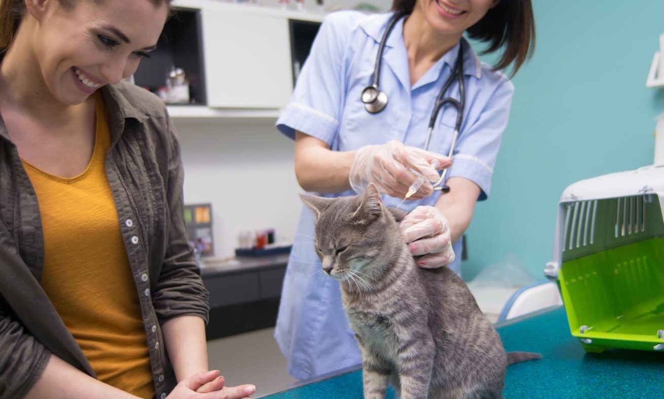 Vet365 Pet Care